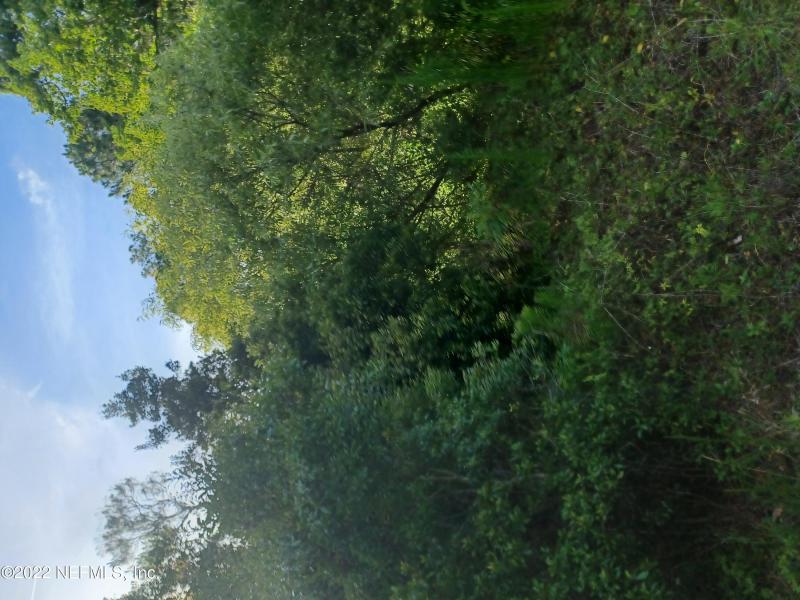 SCHEIDEL WAY