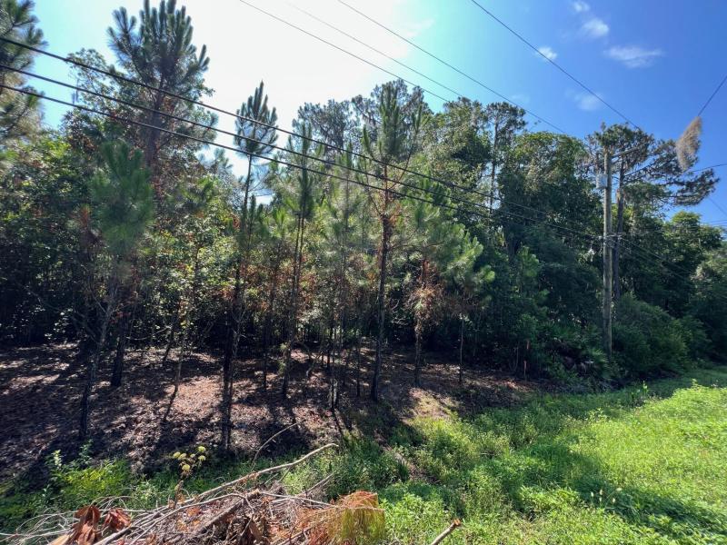 600 COUNTY ROAD 13 S
