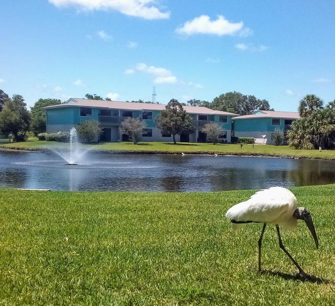 650 W Pope Road (ground floor) #221
