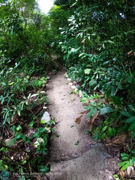 Duplex, Triplex and Fourplex Images