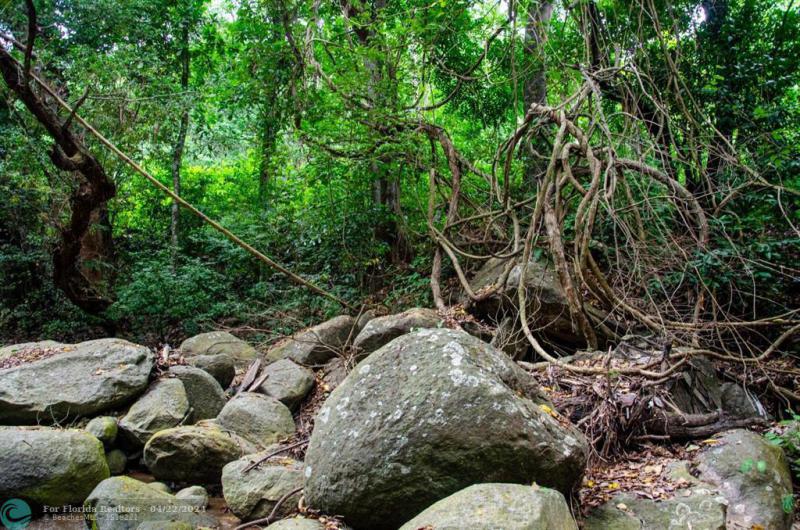 Duplex, Triplex and Fourplex Images