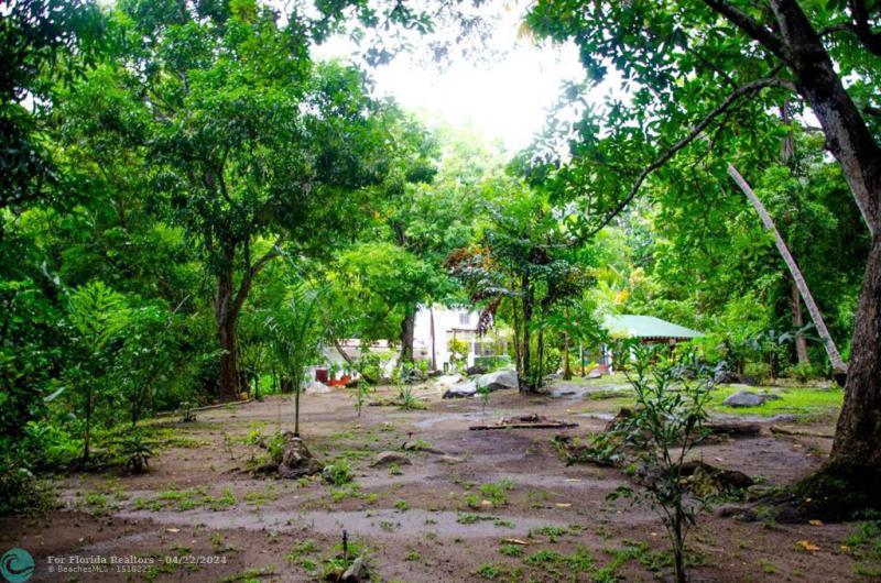 Duplex, Triplex and Fourplex Images