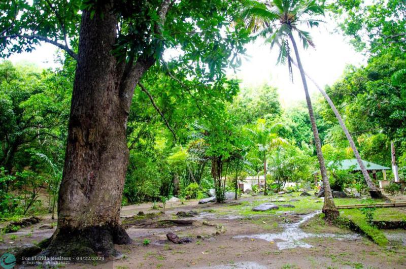 Duplex, Triplex and Fourplex Images