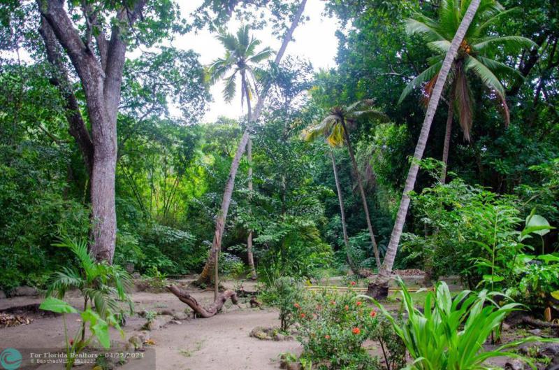 Duplex, Triplex and Fourplex Images