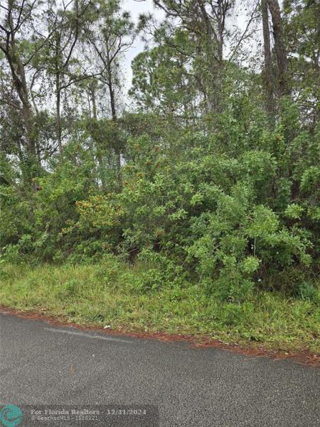 Duplex, Triplex and Fourplex Images