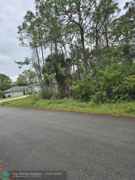 Duplex, Triplex and Fourplex Images