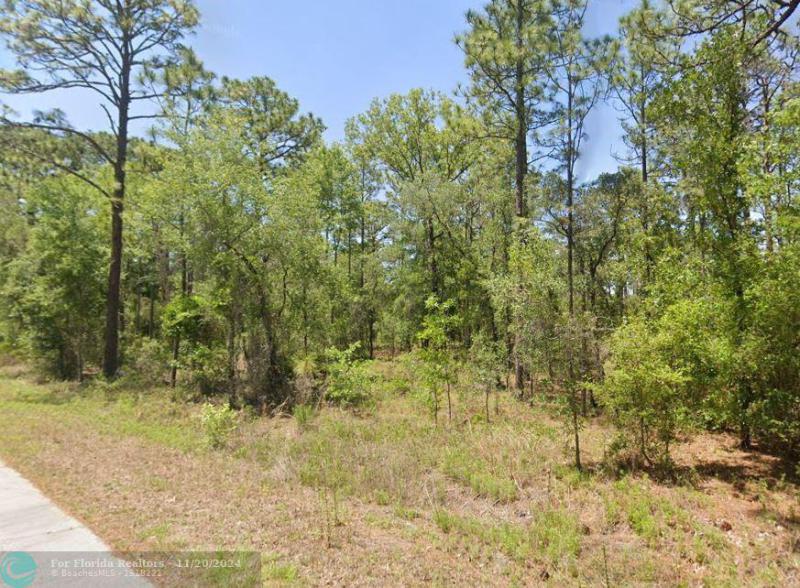 Duplex, Triplex and Fourplex Images