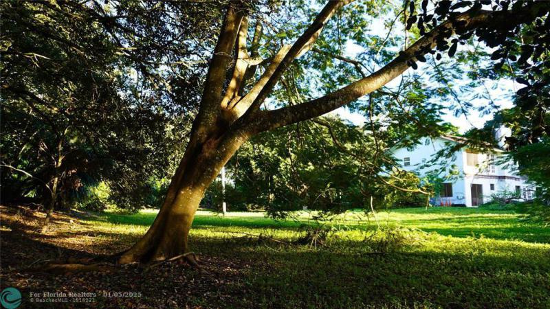 Duplex, Triplex and Fourplex Images