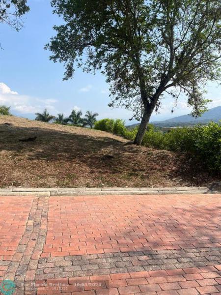 Duplex, Triplex and Fourplex Images