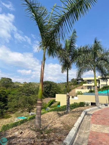 Duplex, Triplex and Fourplex Images