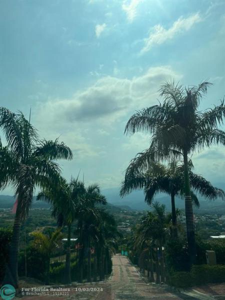 Duplex, Triplex and Fourplex Images