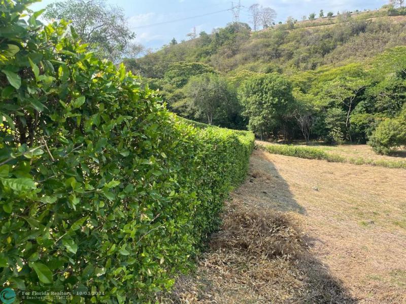 Duplex, Triplex and Fourplex Images