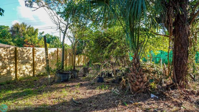 Duplex, Triplex and Fourplex Images