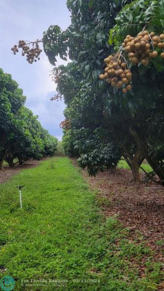  Commercial & Industrial Land Images 