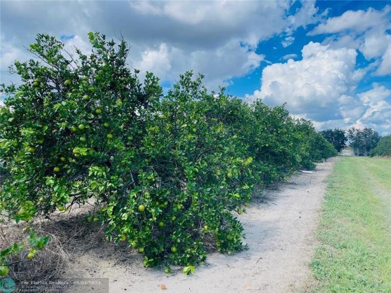  Commercial & Industrial Land Images 