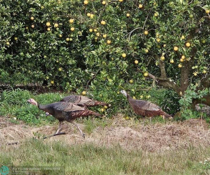  Commercial & Industrial Land Images 