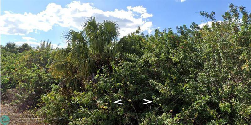 Duplex, Triplex and Fourplex Images