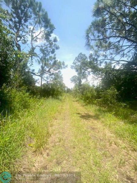 Duplex, Triplex and Fourplex Images