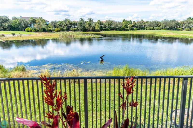  Single Family Homes Photo 56: 7235 Lemon Grass Dr  Parkland,  FL 33076