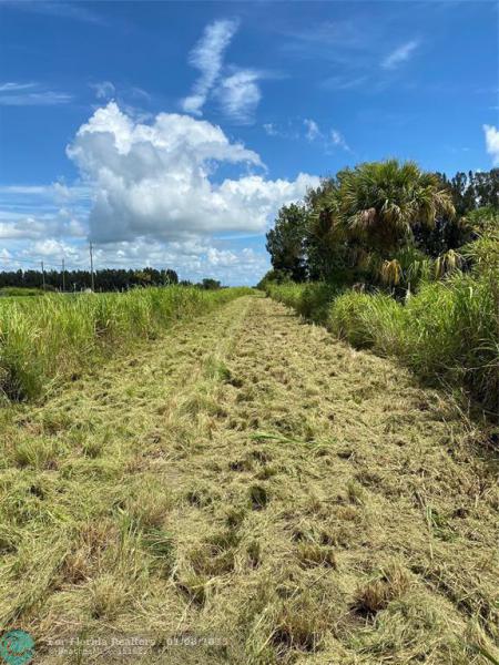 Duplex, Triplex and Fourplex Images