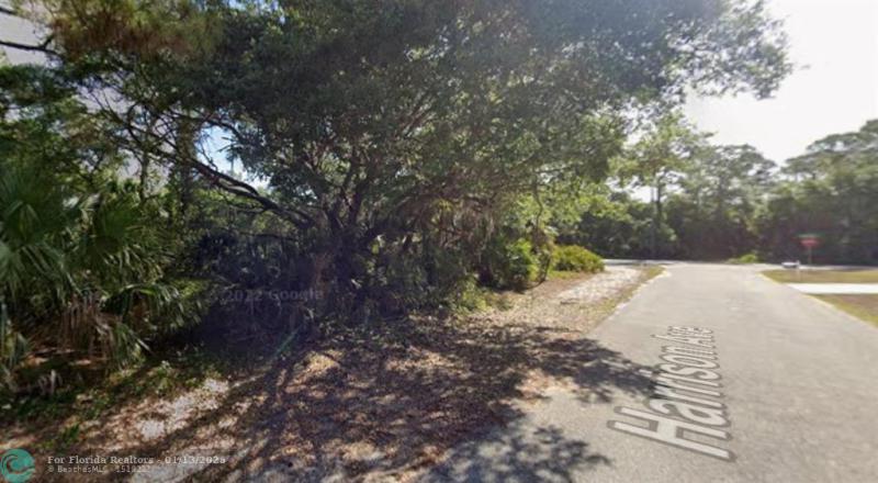 Duplex, Triplex and Fourplex Images