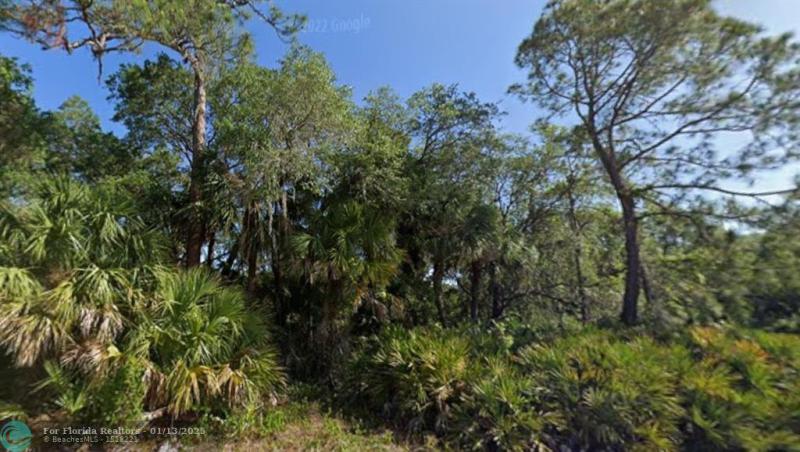 Duplex, Triplex and Fourplex Images