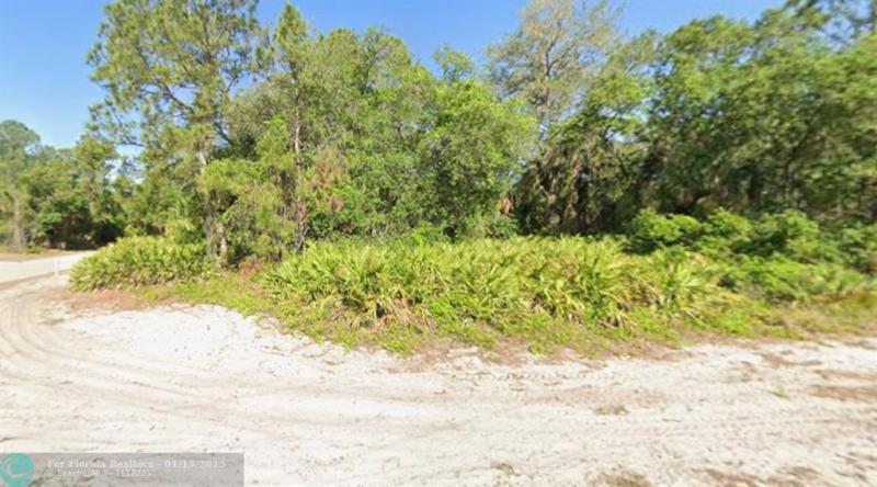 Duplex, Triplex and Fourplex Images