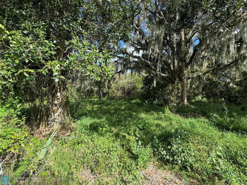  Commercial & Industrial Land Images 