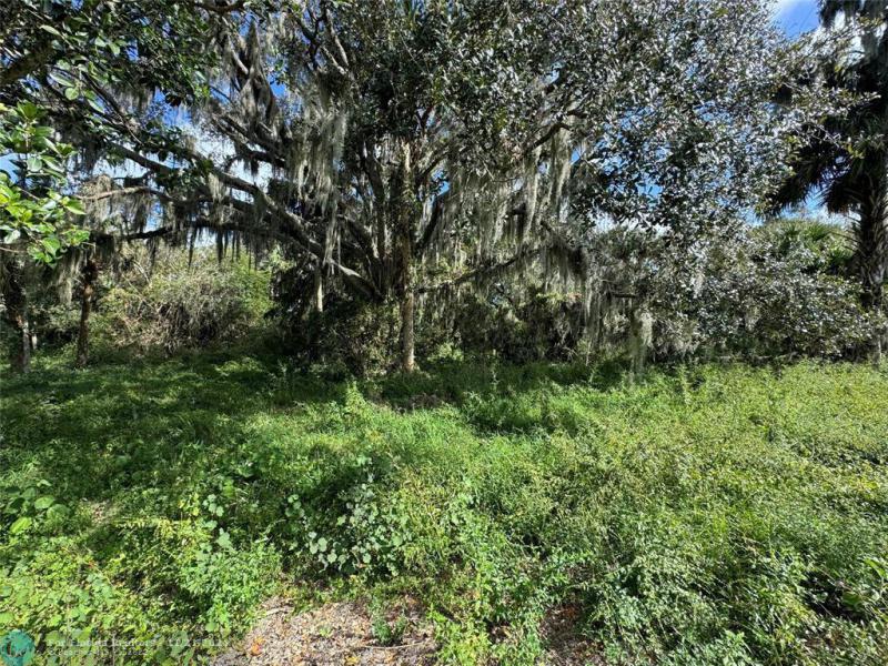  Commercial & Industrial Land Images 