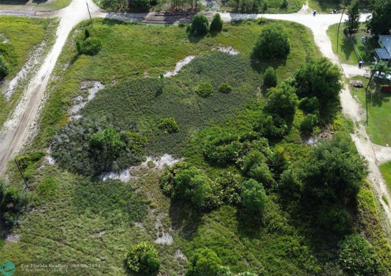 Duplex, Triplex and Fourplex Images