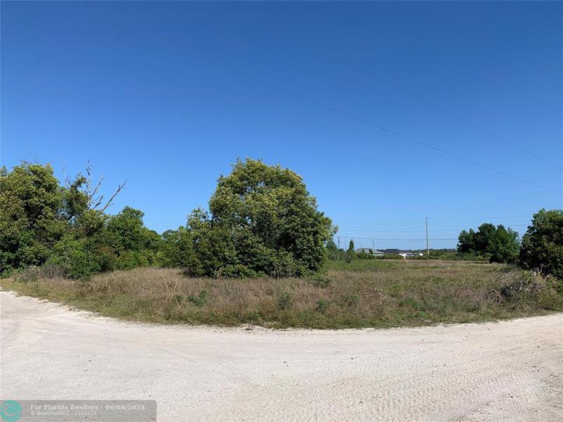 Duplex, Triplex and Fourplex Images