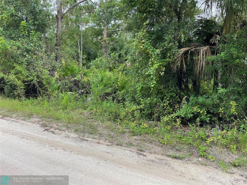 Duplex, Triplex and Fourplex Images