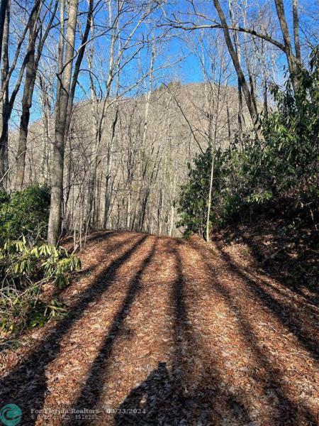 Duplex, Triplex and Fourplex Images