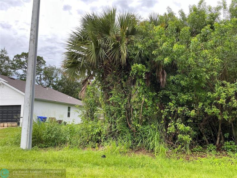 Duplex, Triplex and Fourplex Images