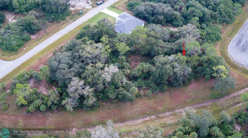 Duplex, Triplex and Fourplex Images