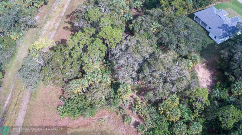 Duplex, Triplex and Fourplex Images