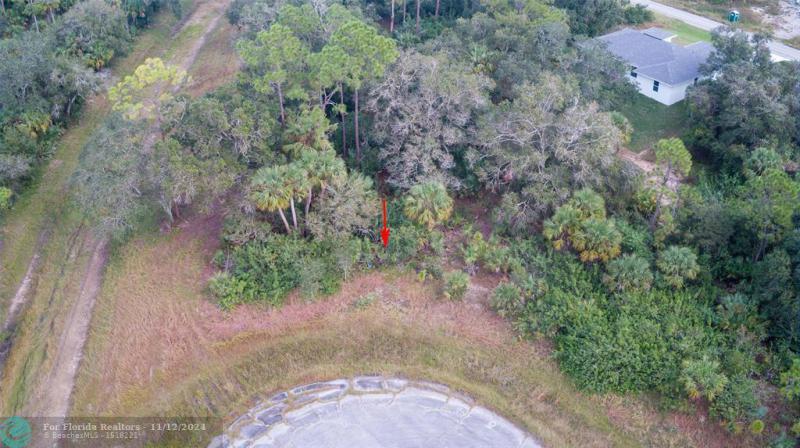 Duplex, Triplex and Fourplex Images