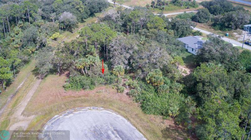 Duplex, Triplex and Fourplex Images