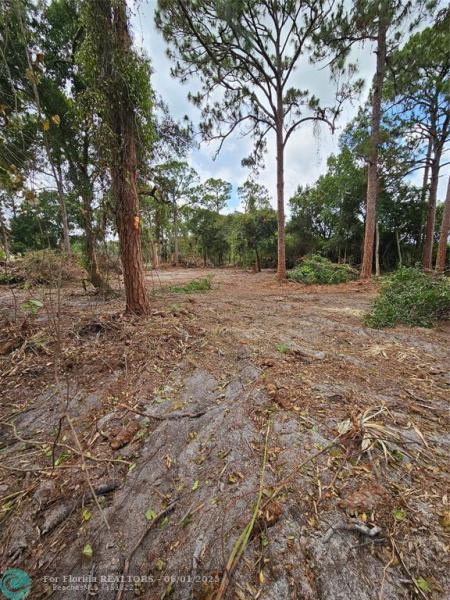 Duplex, Triplex and Fourplex Images