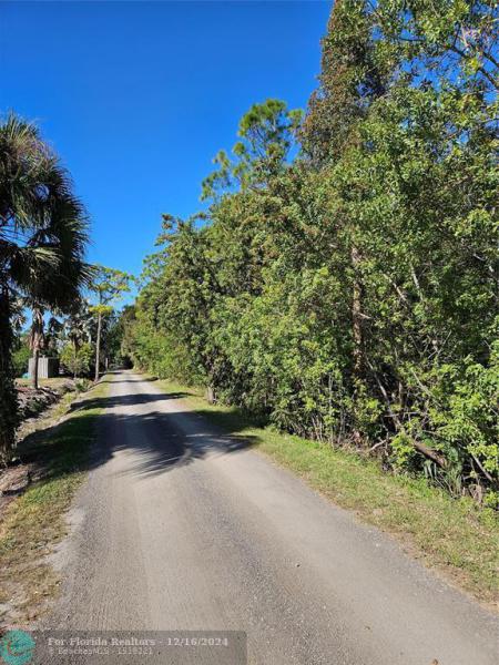 Duplex, Triplex and Fourplex Images