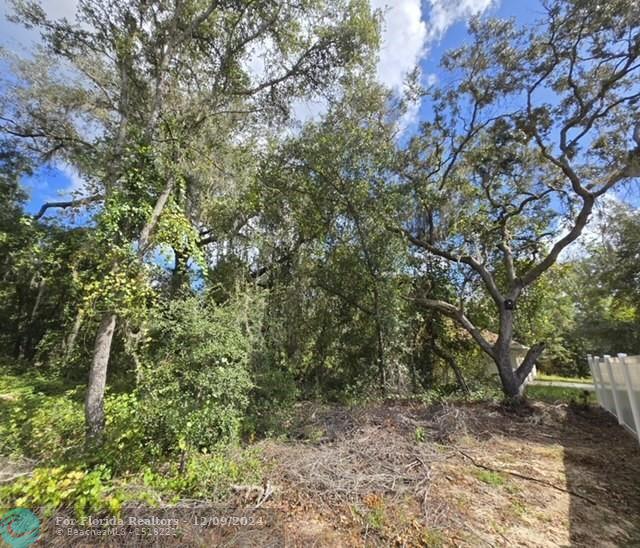 Duplex, Triplex and Fourplex Images