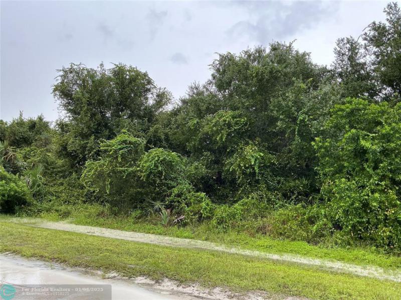 Duplex, Triplex and Fourplex Images