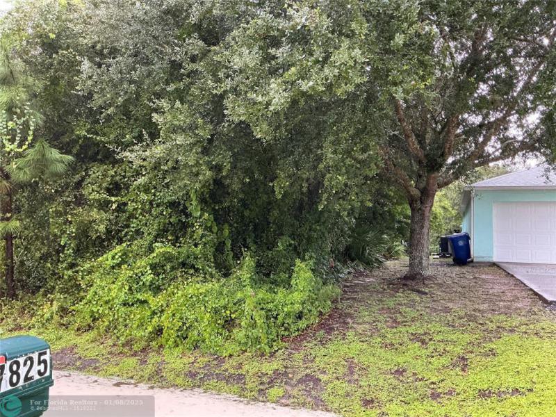 Duplex, Triplex and Fourplex Images