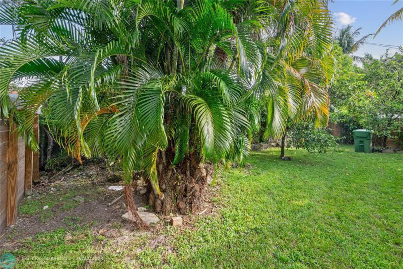 Duplex, Triplex and Fourplex Images