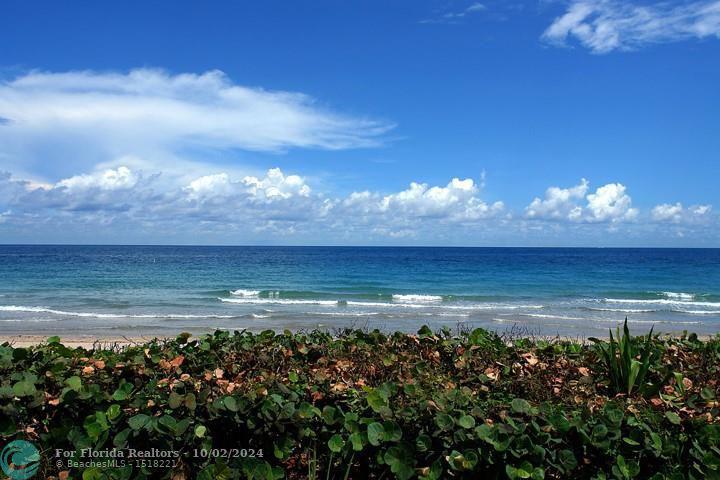  Single Family Homes Photo 77:  Fort Lauderdale,  FL 33316