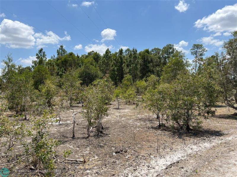  Commercial & Industrial Land Images 