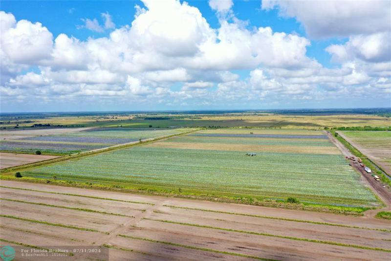 Duplex, Triplex and Fourplex Images