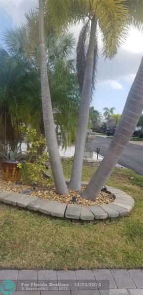 Duplex, Triplex and Fourplex Images