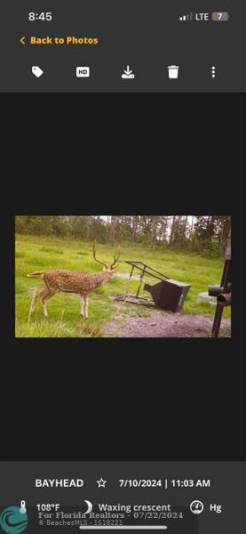 Duplex, Triplex and Fourplex Images