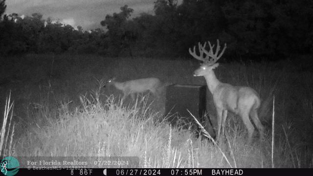 Duplex, Triplex and Fourplex Images